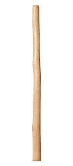 Medium Size Natural Finish Didgeridoo (TW1363)